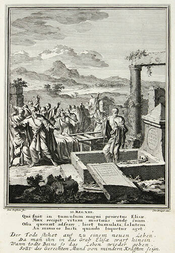 A Dead Man Is Restored to Life After Being Thrown into