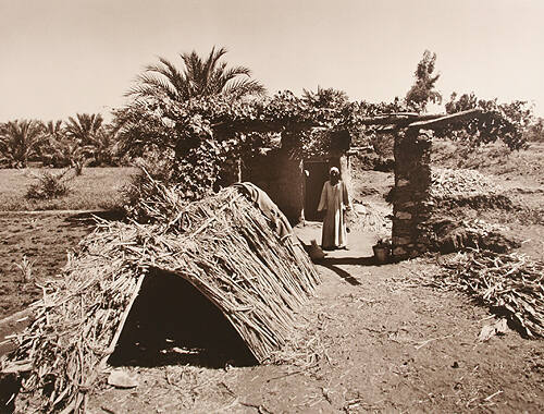 Collection of the Lowe Art Museum, University of Miami