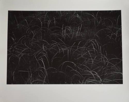 Grasses, Wisconsin, 1959