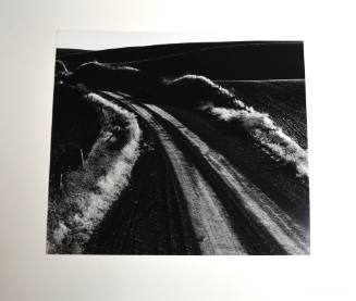 Road and Field, Oregon